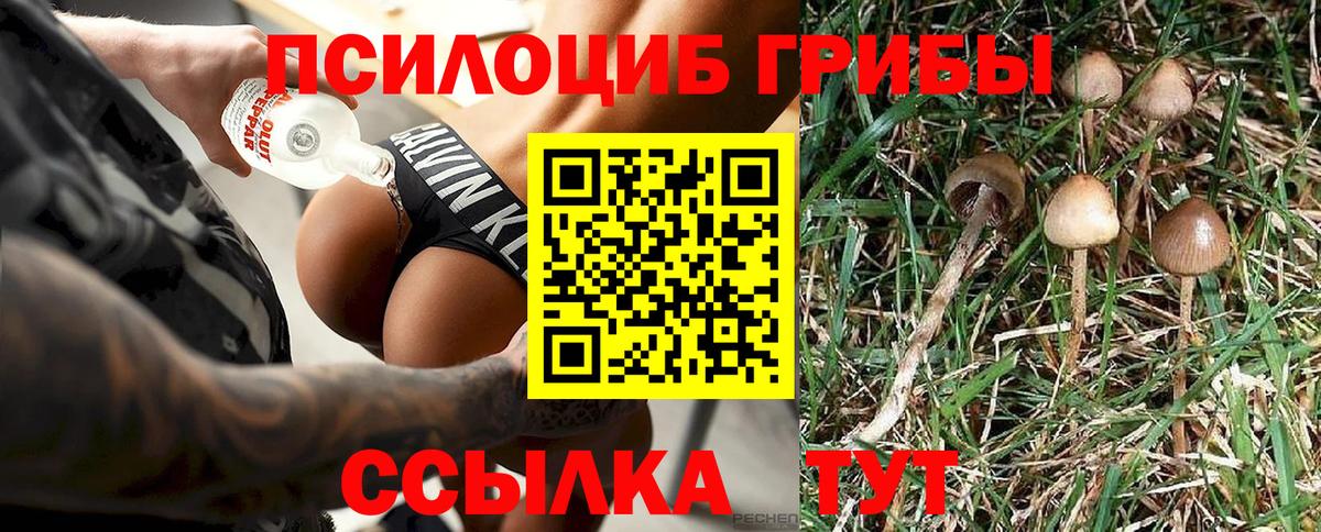 Псилоцибиновые грибы Psilocybine cubensis  Галлюциногенные грибы Magic Shrooms  Вход с VPN  Дивногорск 