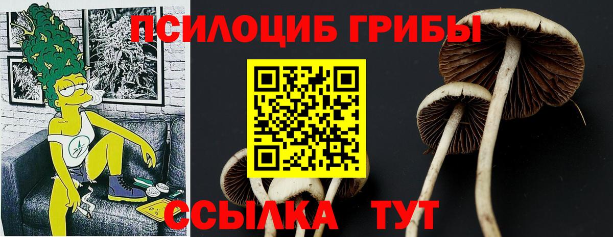Псилоцибиновые грибы мицелий Дивногорск